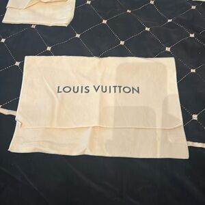 Louis Vuitton duster for a small handbag